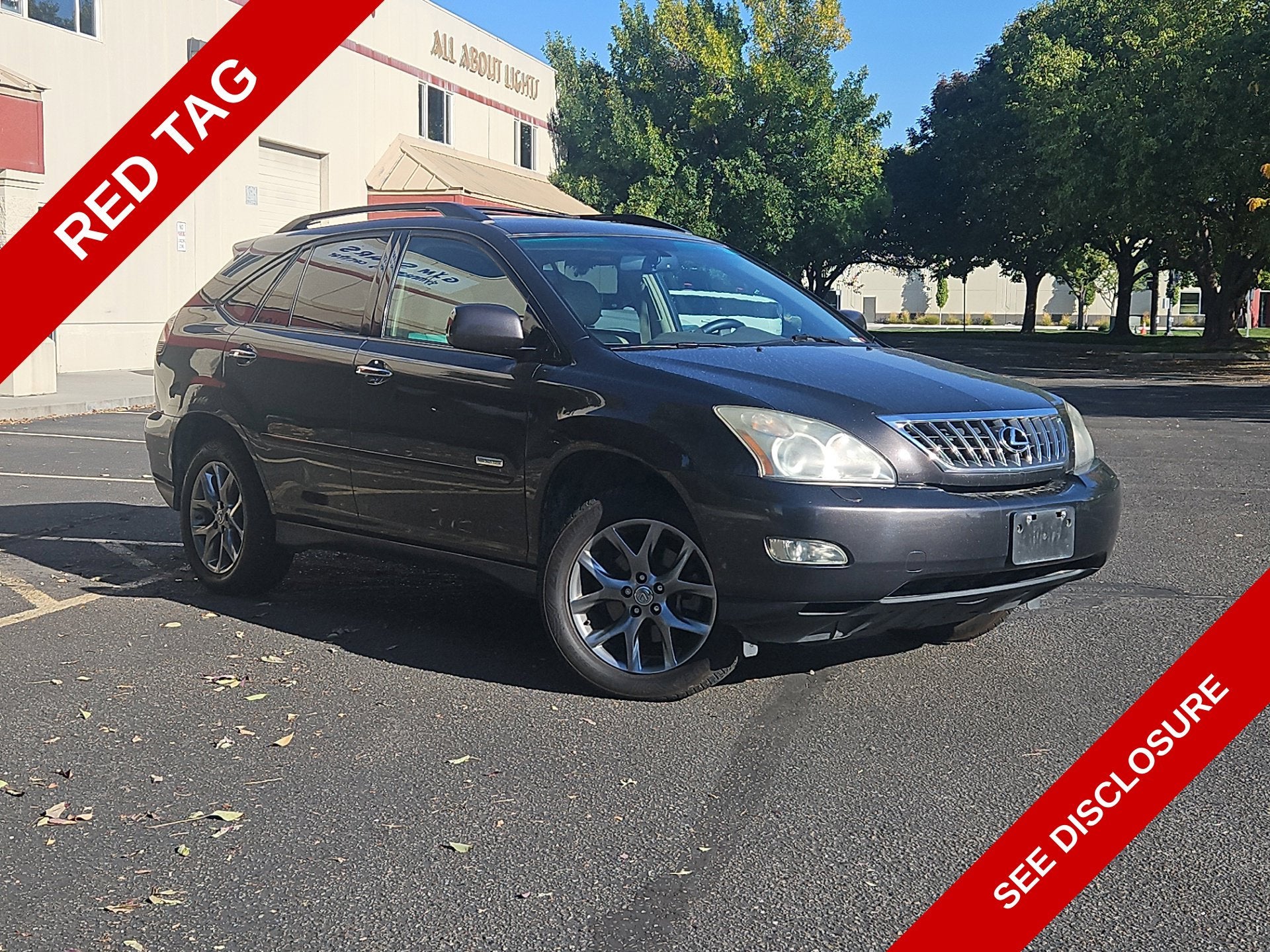 2009 Lexus RX 350