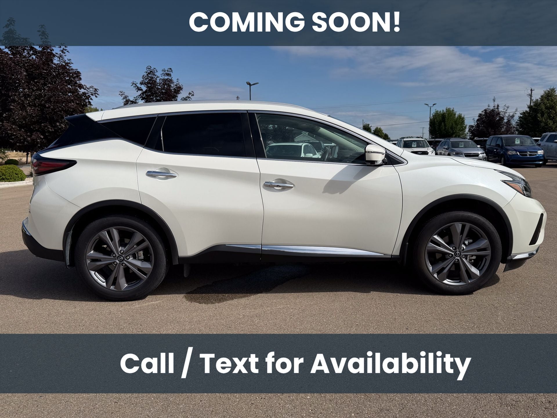 2024 Nissan Murano Platinum
